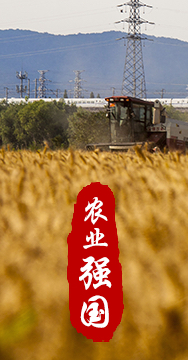 農業強國是社會主義現代化強國的根基。