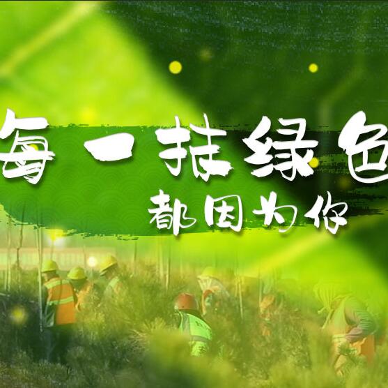 千年秀林，每一抹綠色都因?yàn)槟? /></a>       
<div   id=